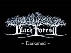 Black Forest (AUT) : Darkened Demo